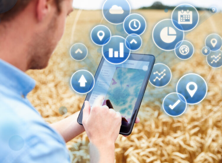 Agriculture : comment l’IoT répond aux plus grands défis écologiques ?
