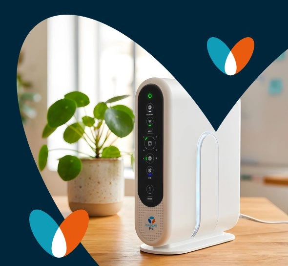 Bbox Pro Évolutive