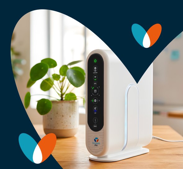 Bbox Pro Évolutive